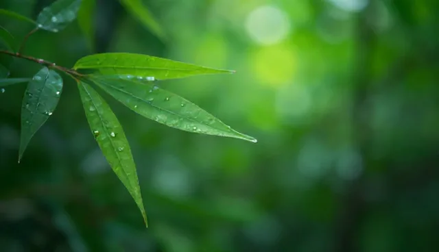 消防施工中常见误区如何识别?